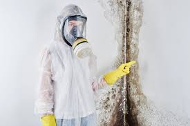 Best Emergency Mold Remediation  in Zachary, LA